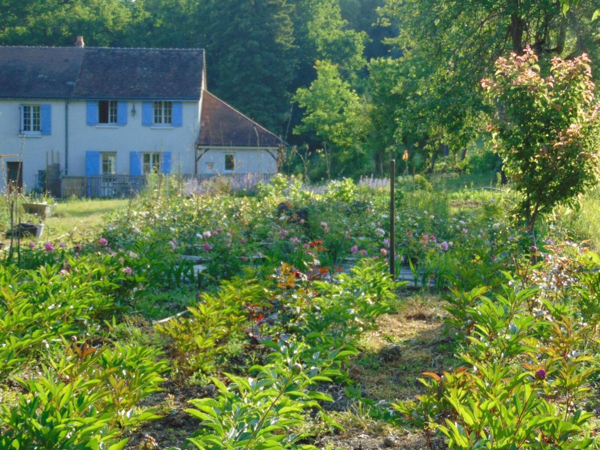 Fleurs De Brenne Gite Neuillé-le-Lierre Exterior photo